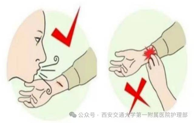 皇冠信用盘_西安多区发现隐翅虫？千万别拍皇冠信用盘！毒液堪比硫酸