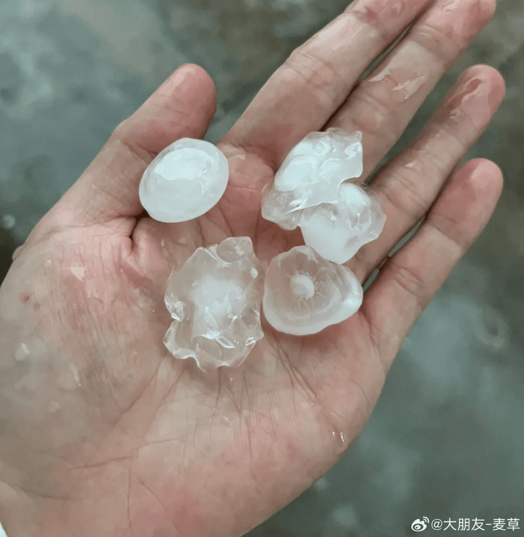 皇冠信用網会员账号_上海今天刷新多项高温纪录皇冠信用網会员账号,明天最高29℃未来一周多阵雨