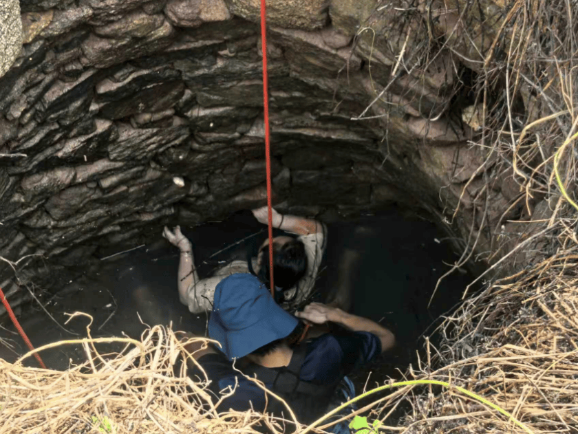 哥斯达黎加甲组联赛_多条蛇缠身哥斯达黎加甲组联赛，女子被咬了也不敢动！深井内苦撑54小时后……