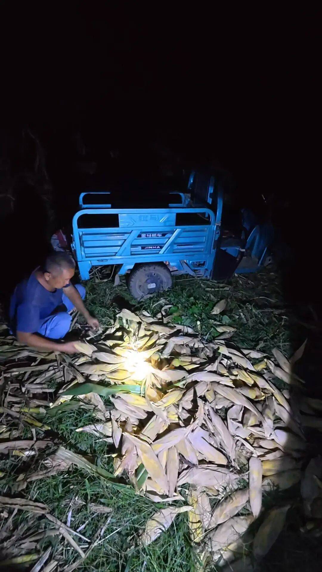 皇冠信用網会员_大学生8天假掰了7天半玉米：自己多弯一次腰皇冠信用網会员，父母就少吃一点苦