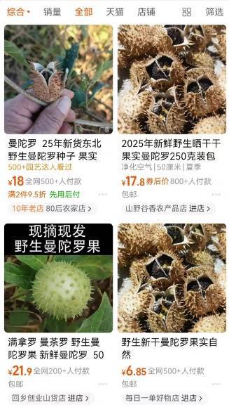 怎么开皇冠信用网
_一口药酒下肚怎么开皇冠信用网
，半小时后毒发，毒性植物曼陀罗可轻易网购