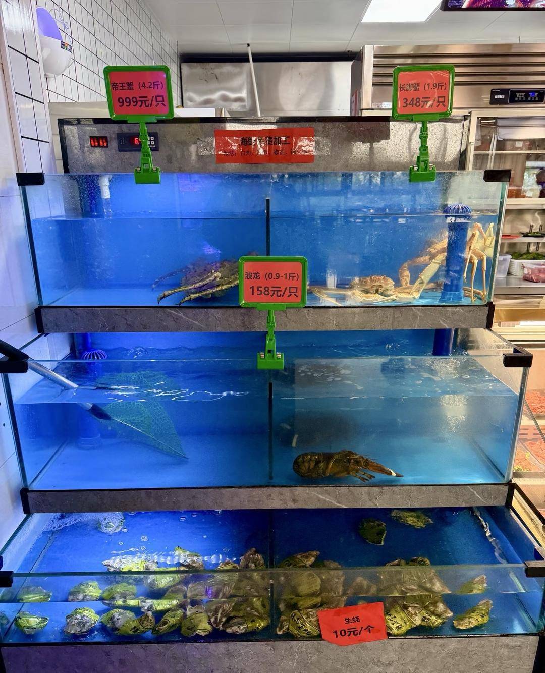 皇冠信用网代理怎么申请
_南京大学食堂推出帝王蟹等海鲜皇冠信用网代理怎么申请
,标价999元一只 学校回应:目前已有同学消费