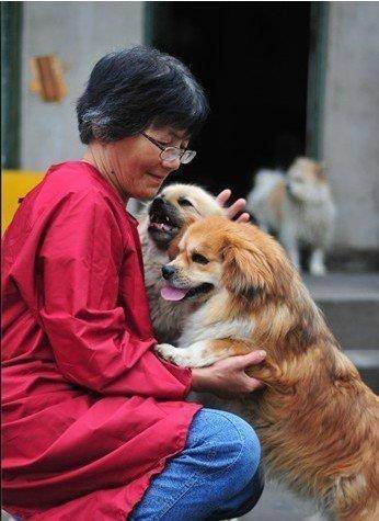 皇冠信用网
_合肥卖房救助流浪狗的魏阿姨离世皇冠信用网
，病中仍然惦记着基地的600只流浪狗，工人：不敢相信世上还有这样执着的人