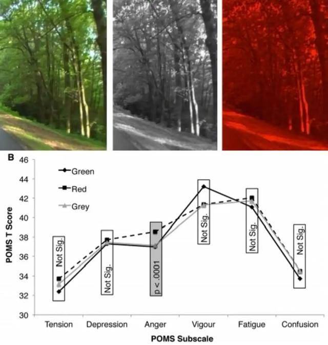 皇冠信用網怎么开通
_年代剧的墙皇冠信用網怎么开通
，为什么都是上白下绿？
